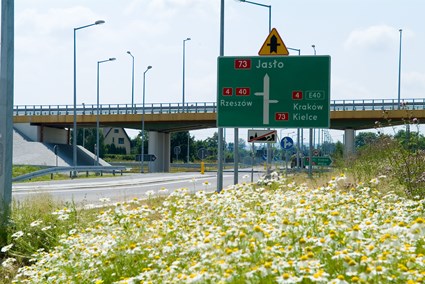 Pilzno bypass