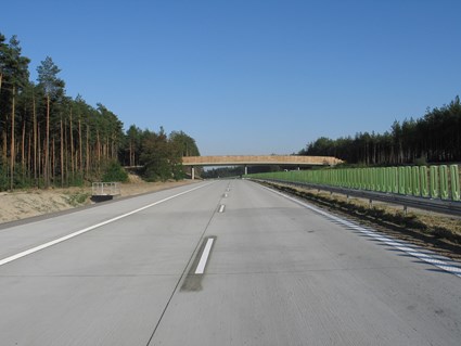 Olszyna-Golnice