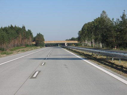 Olszyna-Golnice