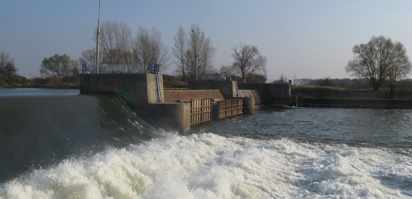Jaz Janowice Jaz Janowice