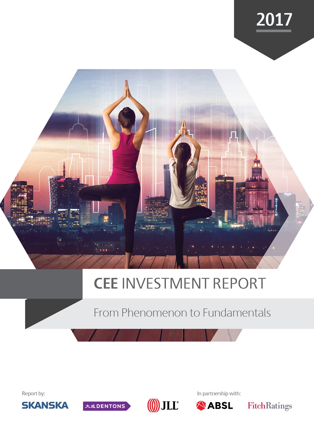 Invetment-Report-2017